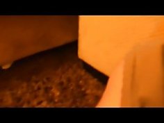 Big tits young milf ireland cross fucked hard takes cum from hubby next door anal blowjob mature